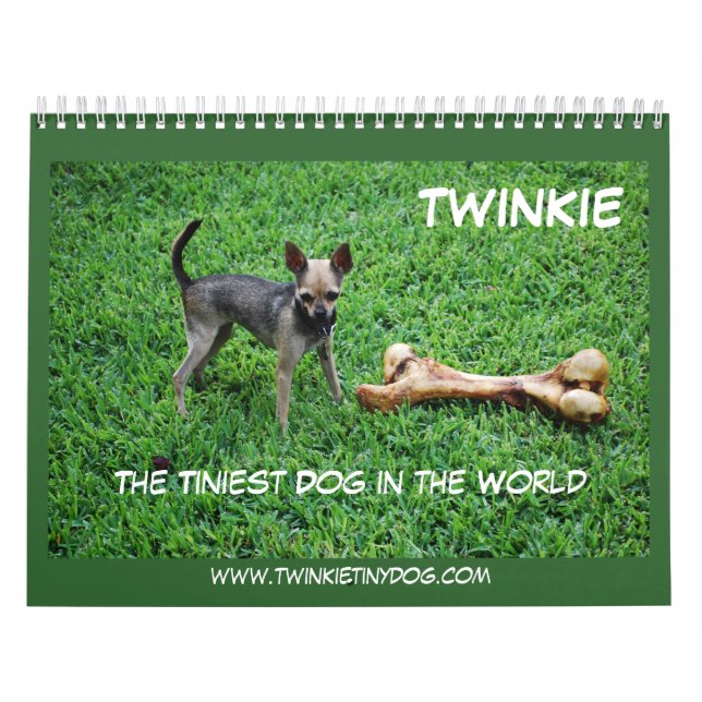 TWINKIE'S CALENDAR (Cover)