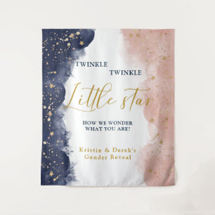 Twinkle Gender Reveal Backdrop, Navy & Pink
