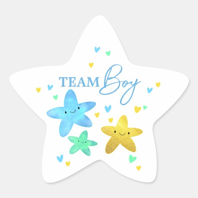 Twinkle Little Star Gender Reveal Team Boy Star Sticker (Front)