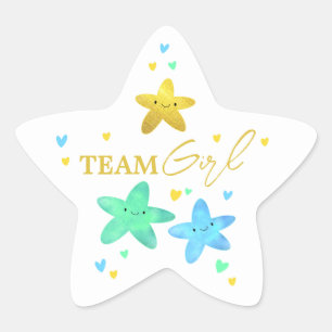 Twinkle Little Star Gender Reveal Team Girl Star Sticker