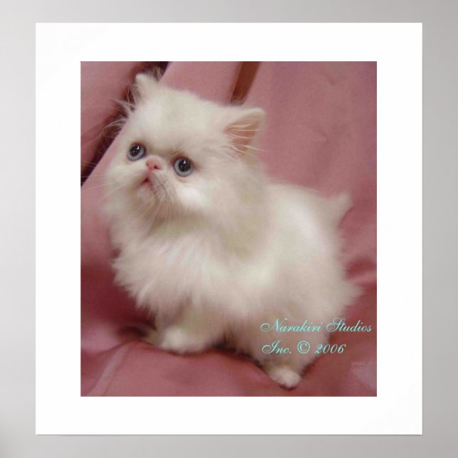 TWINKLE LITTLE STAR POSTER (Front)