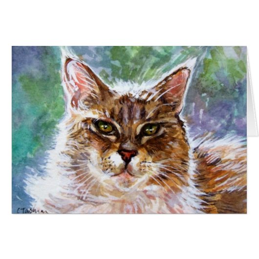 Twinkle the cat cards (Front Horizontal)