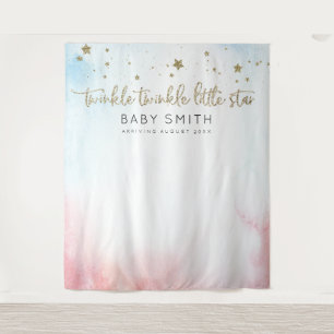 Twinkle Twinkle Gender Reveal Backdrop