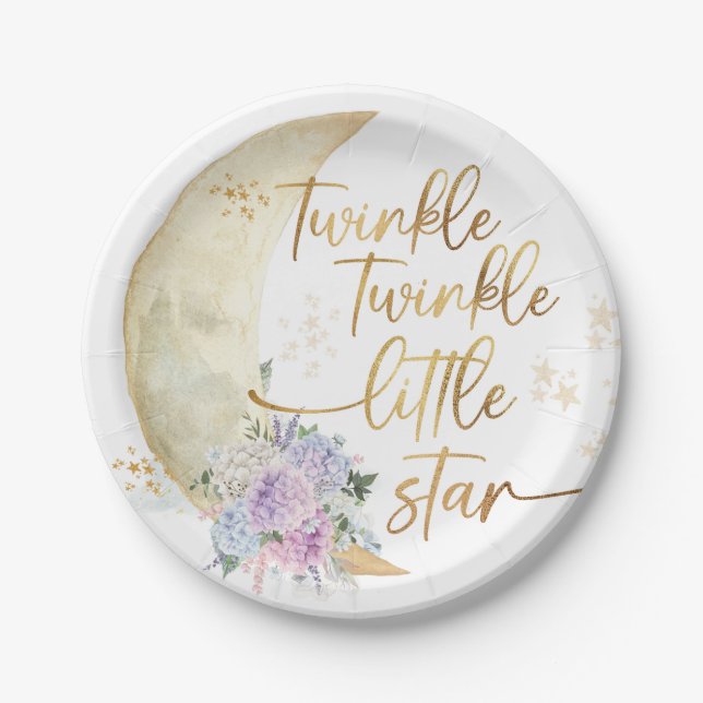 Twinkle Twinkle Little Star Baby Shower Paper Plates (Front)