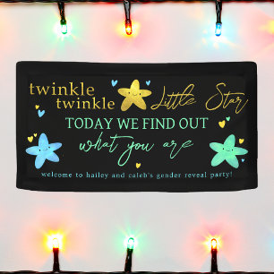 Twinkle Twinkle Little Star Gender Reveal Banner