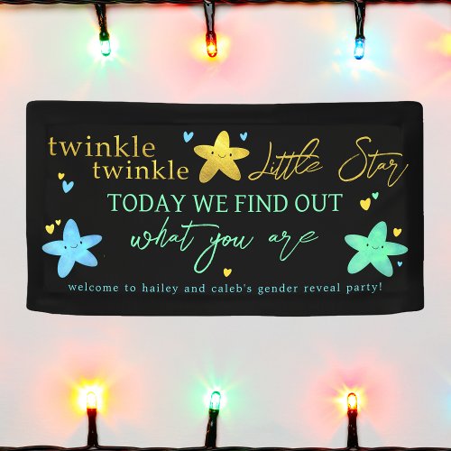 Twinkle Twinkle Little Star Gender Reveal Banner