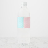 20 TWINKLE LITTLE STAR GENDER REVEAL BABY SHOWER Water Bottle Label  Personalized