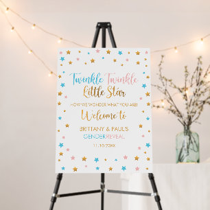 Twinkle Twinkle Little Star Gender Reveal sign