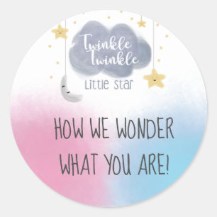 Twinkle Twinkle Little Star Theme Gender Reveal Classic Round Sticker