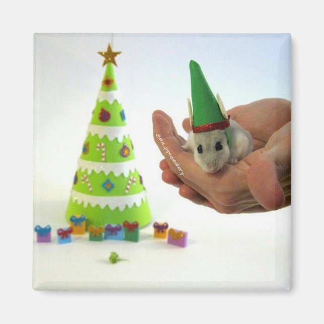 Twinkletoes the Elf! Magnet (Front)