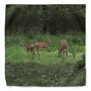 Twins and their Mama Bandana