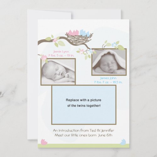 Twins Birth Announcement - Baby Boy &amp; Girl