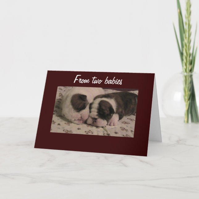 "TWINS" CONGRATULATIONS CARD (Front)