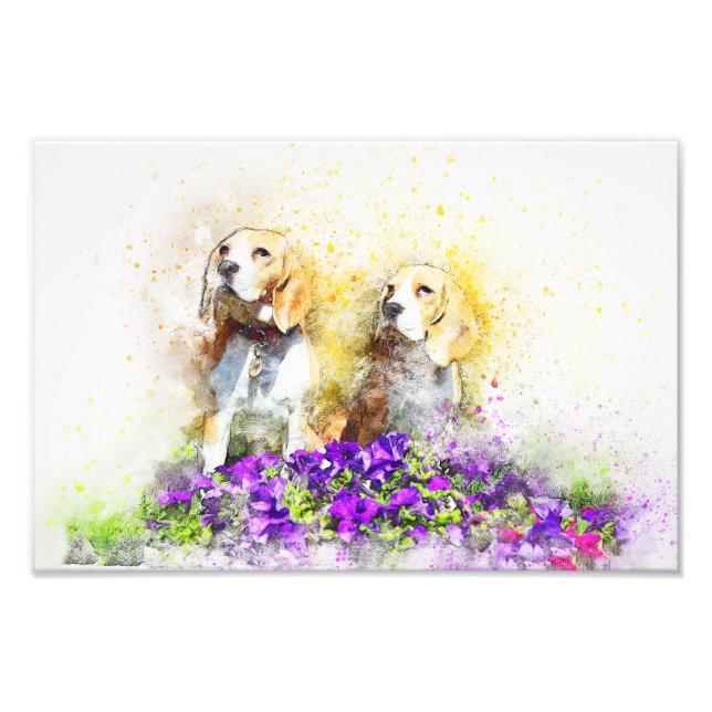 Twins Dogs Photo Print (Front)