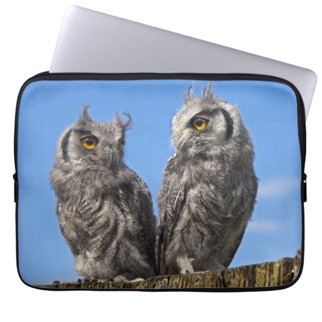 Twins Laptop Sleeve (Front)