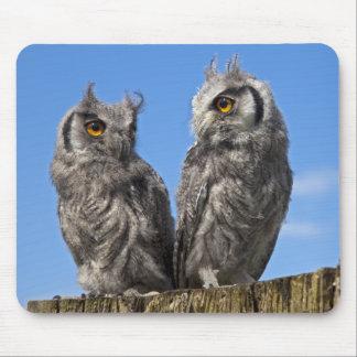 Twins Mousemat Mouse Pad