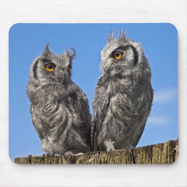 Twins Mousemat Mouse Pad (Front)