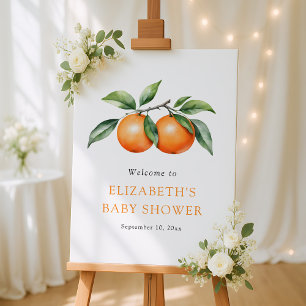 Twins Orange Baby Shower Welcome Sign