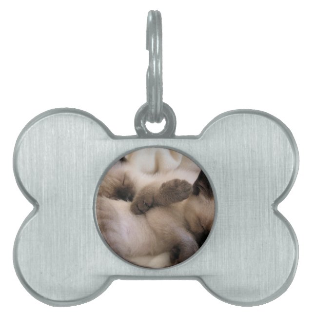 Twins Pet Cat Cute Siamese Kitten Name Tag (Front)
