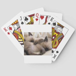 Twins Pet Cat Cute Siamese Kitten Poker Cards