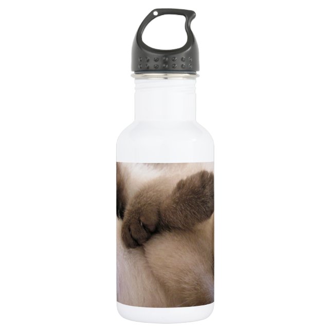 Twins Pet Cat Cute Siamese Kitten Water Bottle (Front)