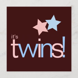 Twins Pink Blue Brown Baby Shower Invitation