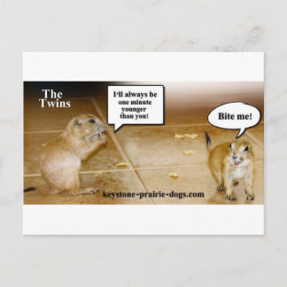 Twins Postcard