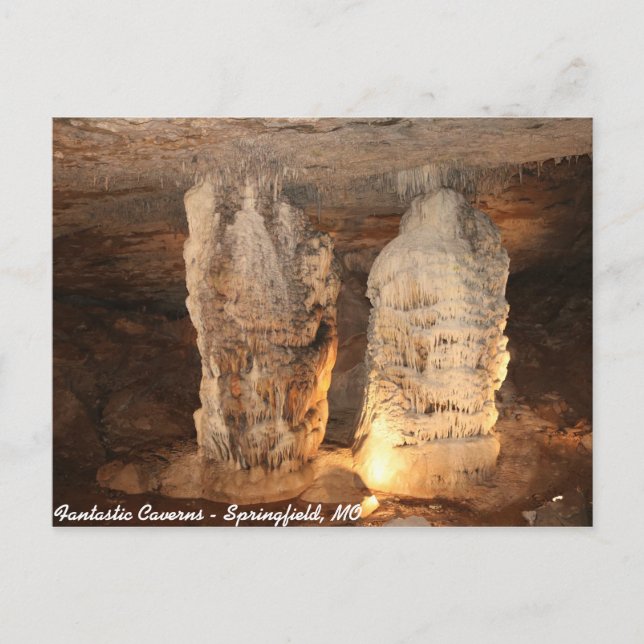 Twins Postcard (Front)