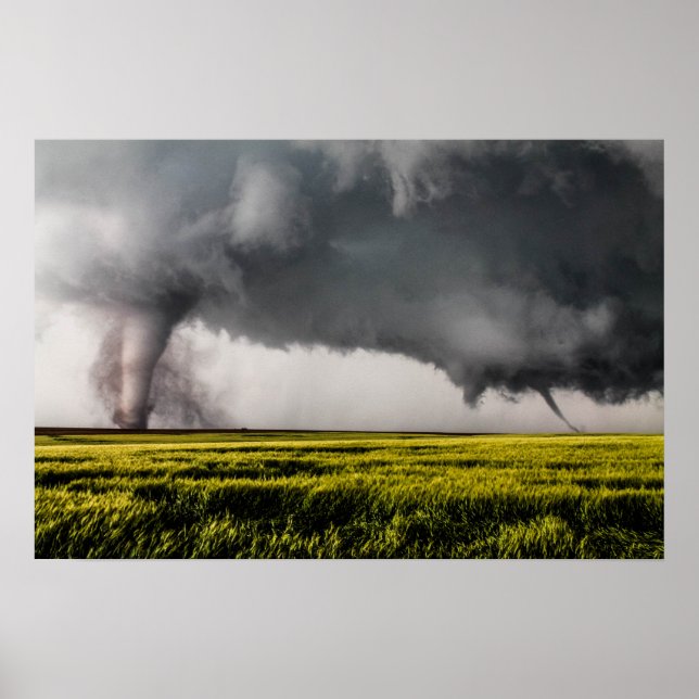 Twins Poster (Front)