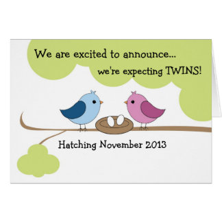 Twins Pregnancy Announcement "Birds in Nest"