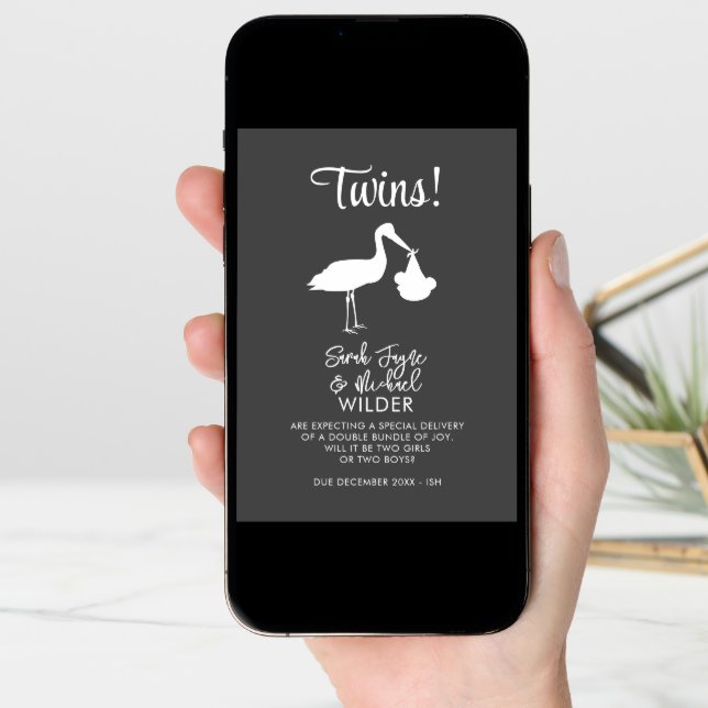 Twins Pregnancy Announcement Card Modern Stork (Front Digital)