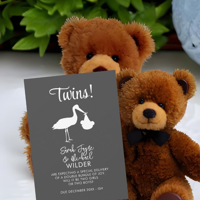 Twins Pregnancy Announcement Card Modern Stork (Congratulations on your double bundle of joy! Send these cards to share the news!)