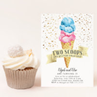 TWINS Two Scoops Boy and Girl Birthday Party