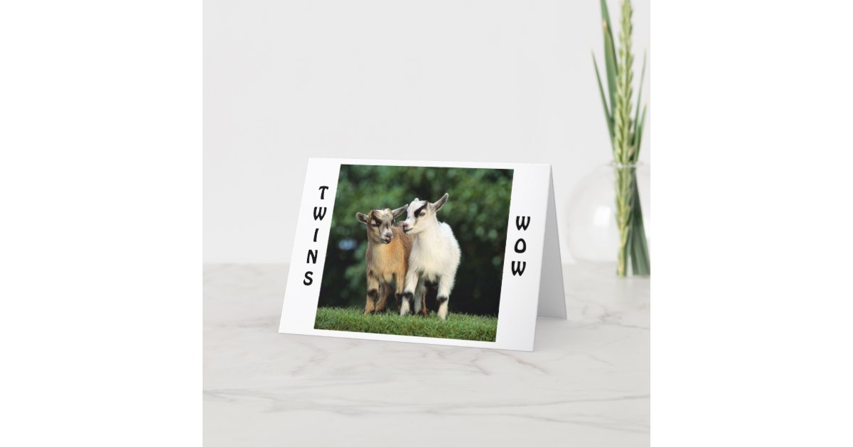 TWINS=WOW=CONGRATULATIONS SAYS THE TALKING GOATS CARD | Zazzle