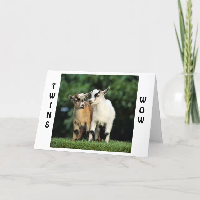 TWINS=WOW=CONGRATULATIONS SAYS THE TALKING GOATS CARD | Zazzle