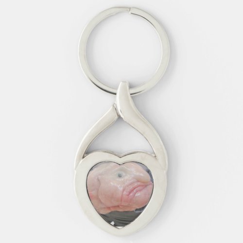 Twisted Heart Metal Keychain with Blobfish