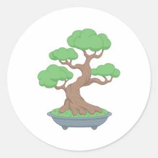 Twisted Japanese Bonsai Tree