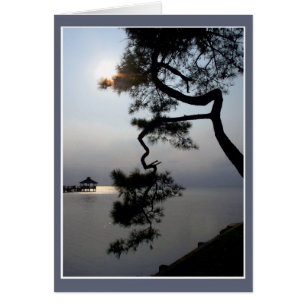 Twisted Pine Cards