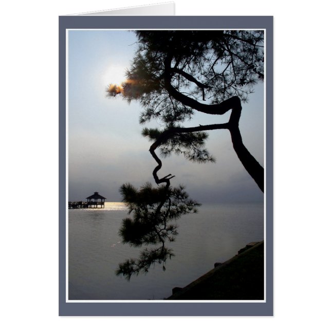 Twisted Pine Cards (Front)
