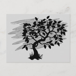 Twisted Sapling Postcard