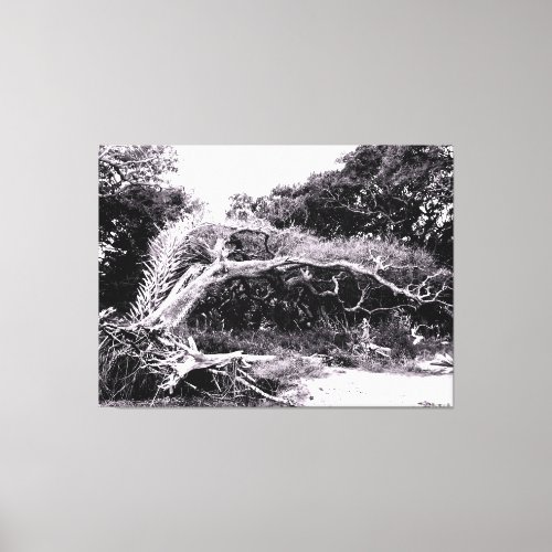 Twisted Tree at Forest Edge Canvas Print