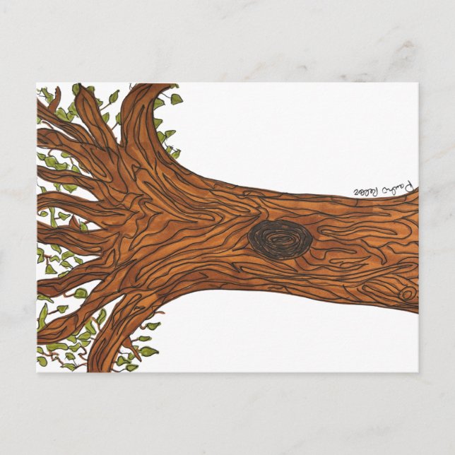 Twisted Tree Postcard (Front)