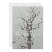 Twisted Weathered Tree Blue Lake Flat Thank You