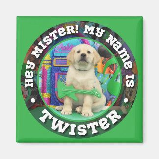 Twister (mister) Name magnet