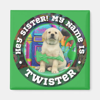 Twister (sister) Name magnet