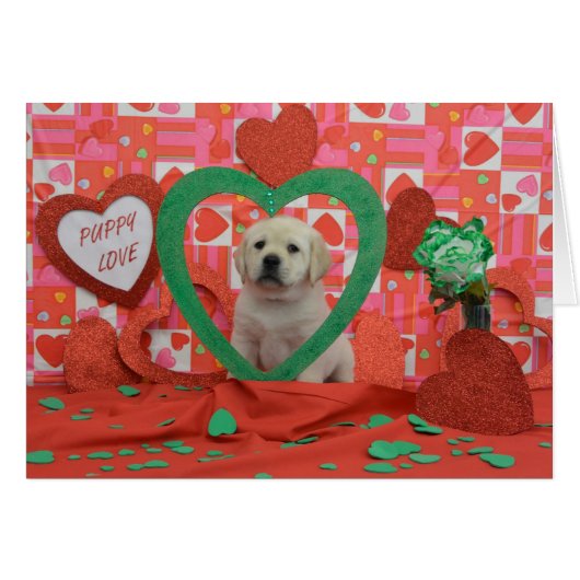 Twister Week 6 Photo (Front Horizontal)