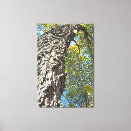 Twisting Tree Nature Canvas Print