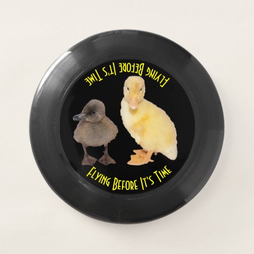 Two Adorable Ducklings Close_Up Photograph Wham_O Frisbee