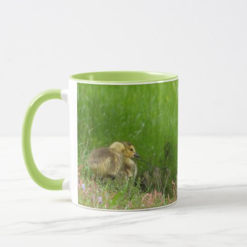 Two Adorable Goslings Mug