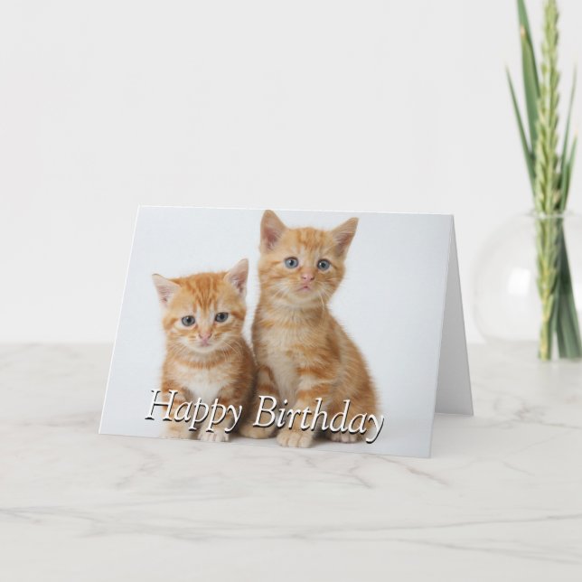 Two Adorable Kittens Card (Front)